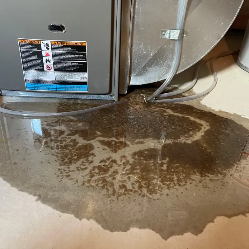 Appliance Leak Cleanup in West Newbury, MA